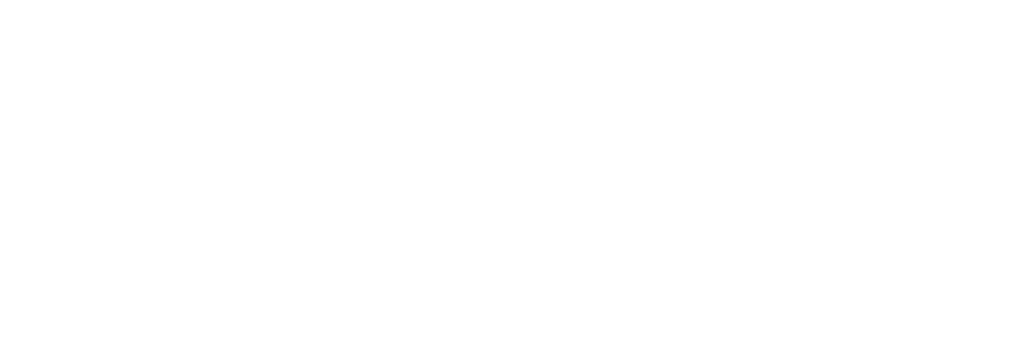 Digisol
